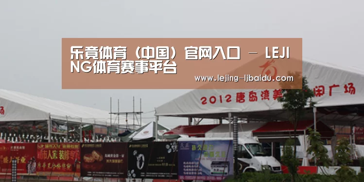 案例标题十