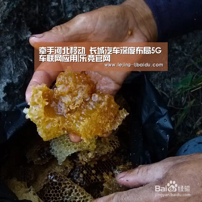 牵手河北移动 长城汽车深度布局5G车联网应用|乐竞官网(图2) 牵手河北移动 长城汽车深度布局5G车联网应用|乐竞官网(图2)