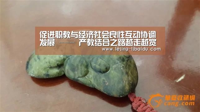 促进职教与经济社会良性互动协调发展 --- 产教结合之路越走越宽-乐竞(图3) 乐竞体育