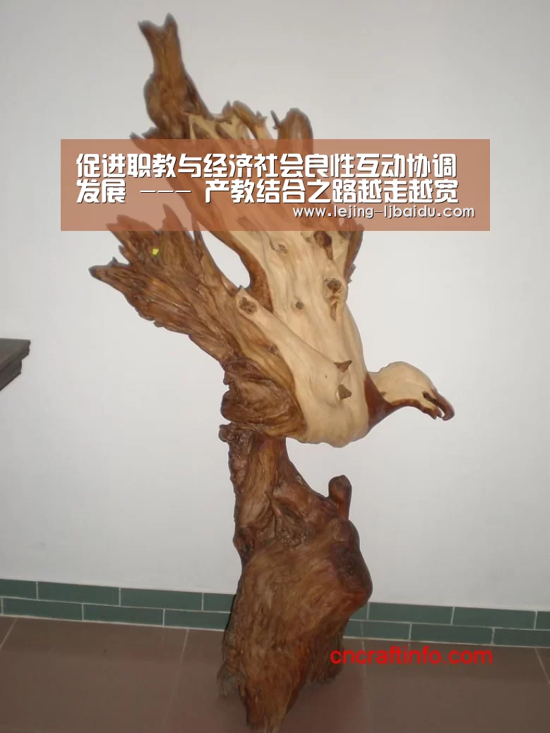 促进职教与经济社会良性互动协调发展 --- 产教结合之路越走越宽-乐竞(图4) 乐竞官网
