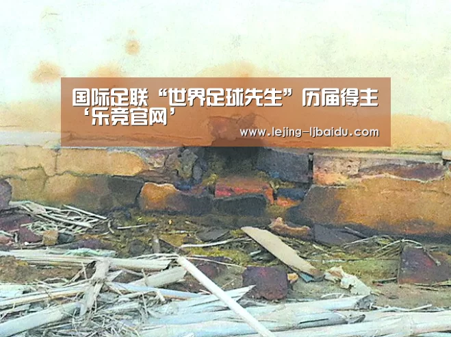 国际足联“世界足球先生”历届得主‘乐竞官网’(图4) 国际足联“世界足球先生”历届得主‘乐竞官网’(图4)